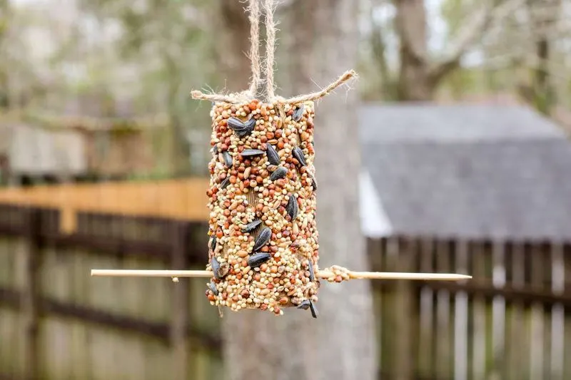 Rope Bird Feeder