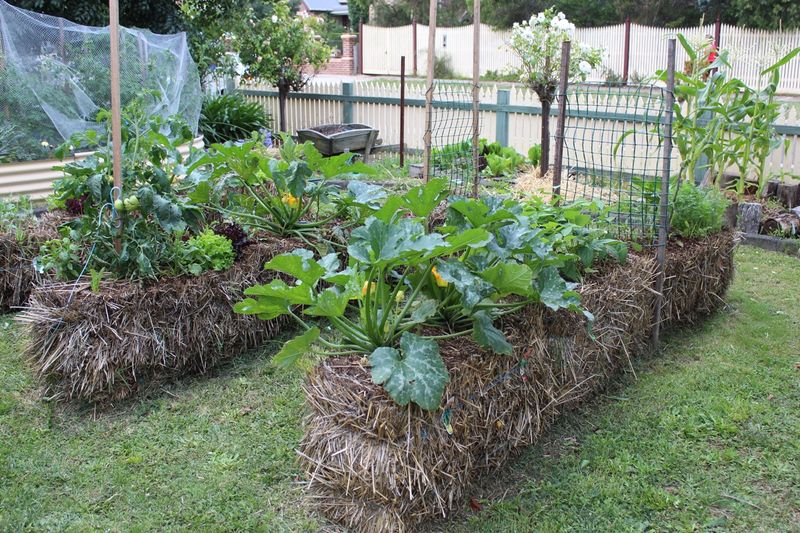 Rotate Crops Seasonally