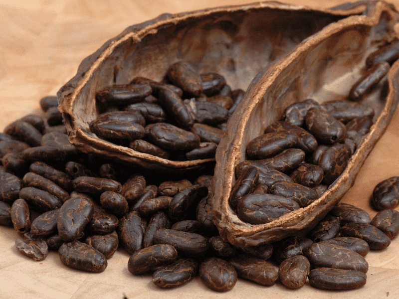 Cocoa Hulls