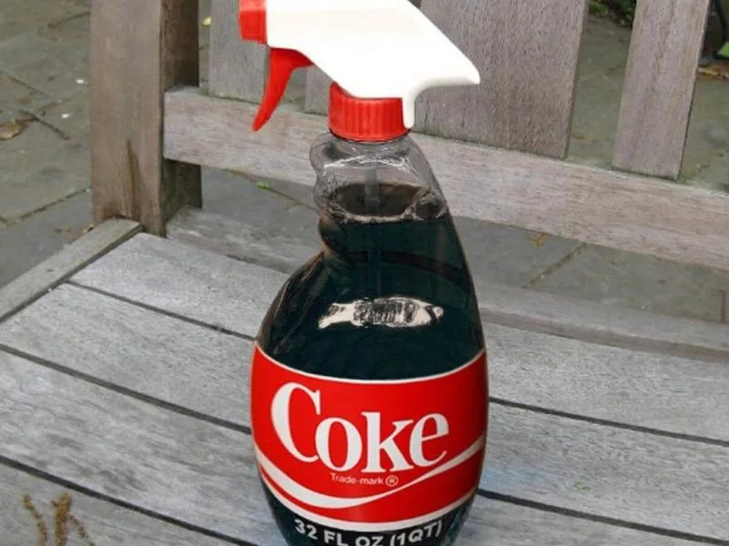 Garden Decor Cleaner