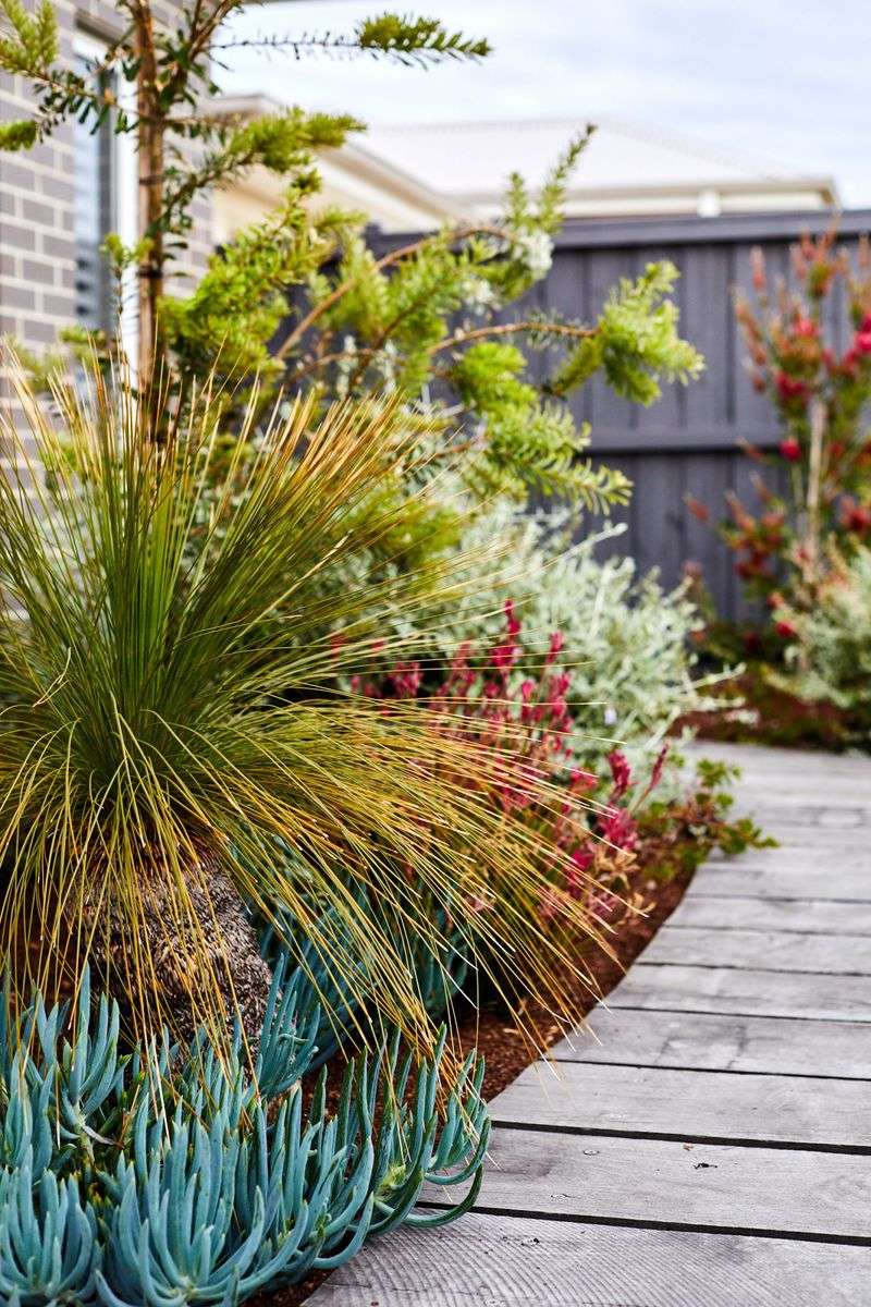 Native Plant Garden