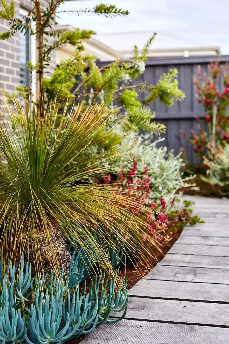 Native Plant Garden