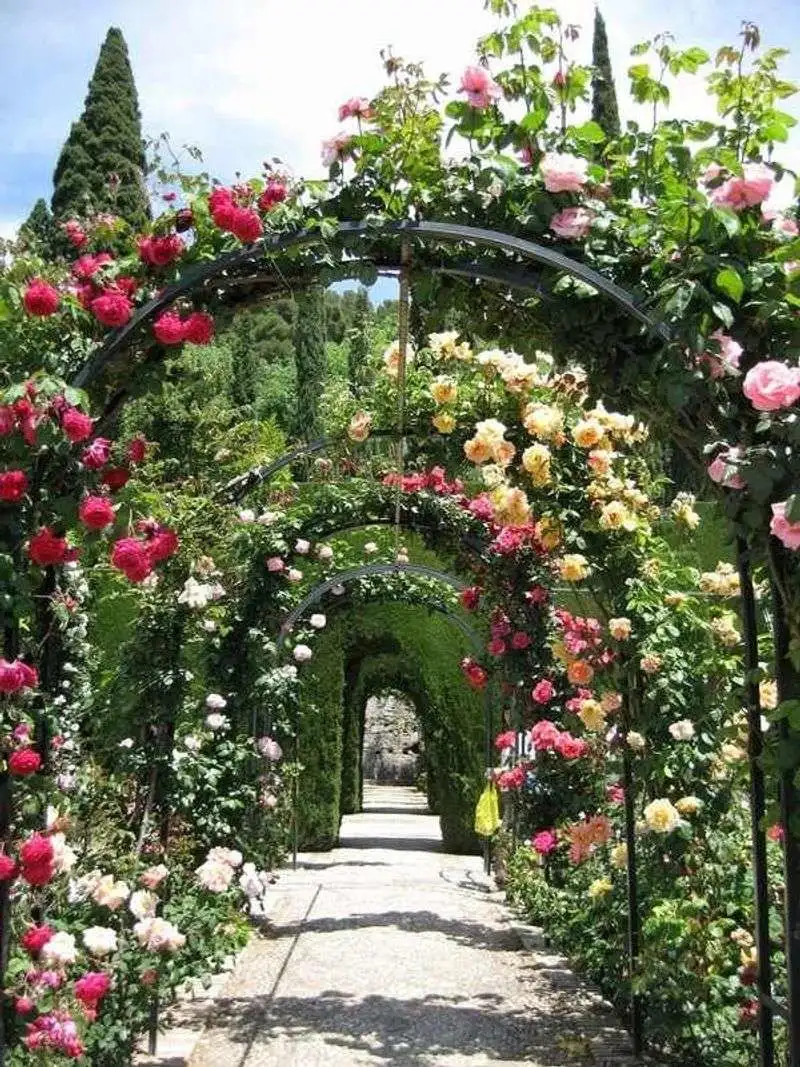 Romantic Rose Garden