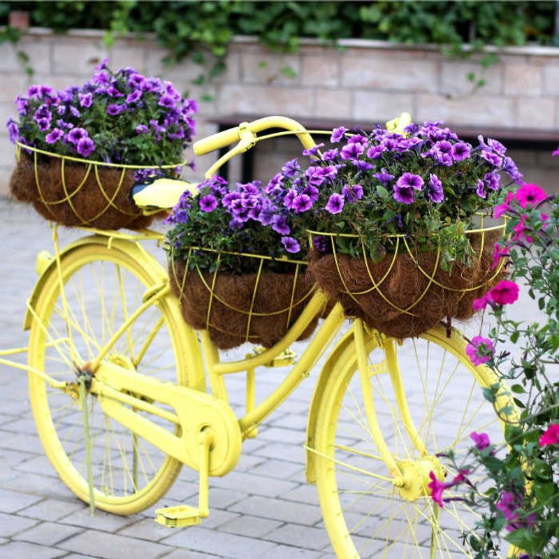Colorful Kids' Bicycle Planter