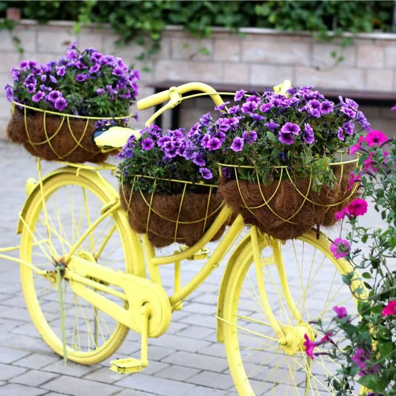 Colorful Kids' Bicycle Planter