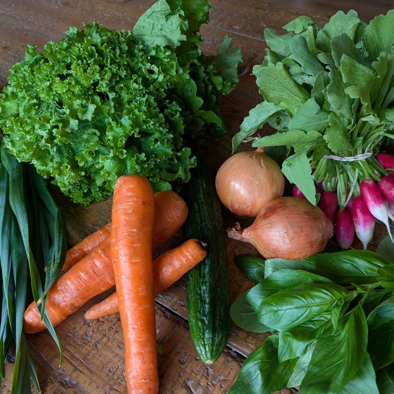 Safe Alternative: Fresh Vegetables