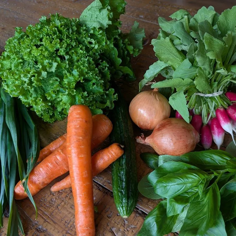 Safe Alternative: Fresh Vegetables