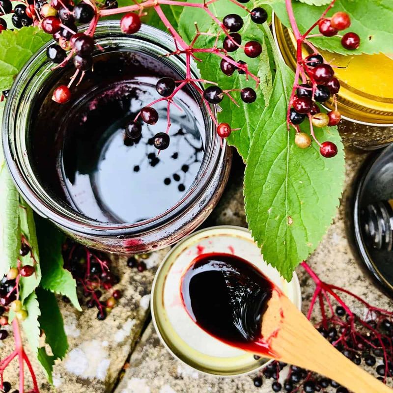 Elderberry