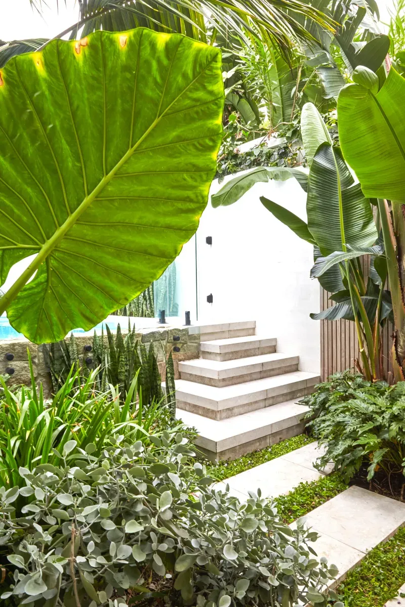 Tropical Paradise