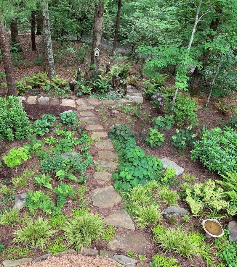 Woodland Corner