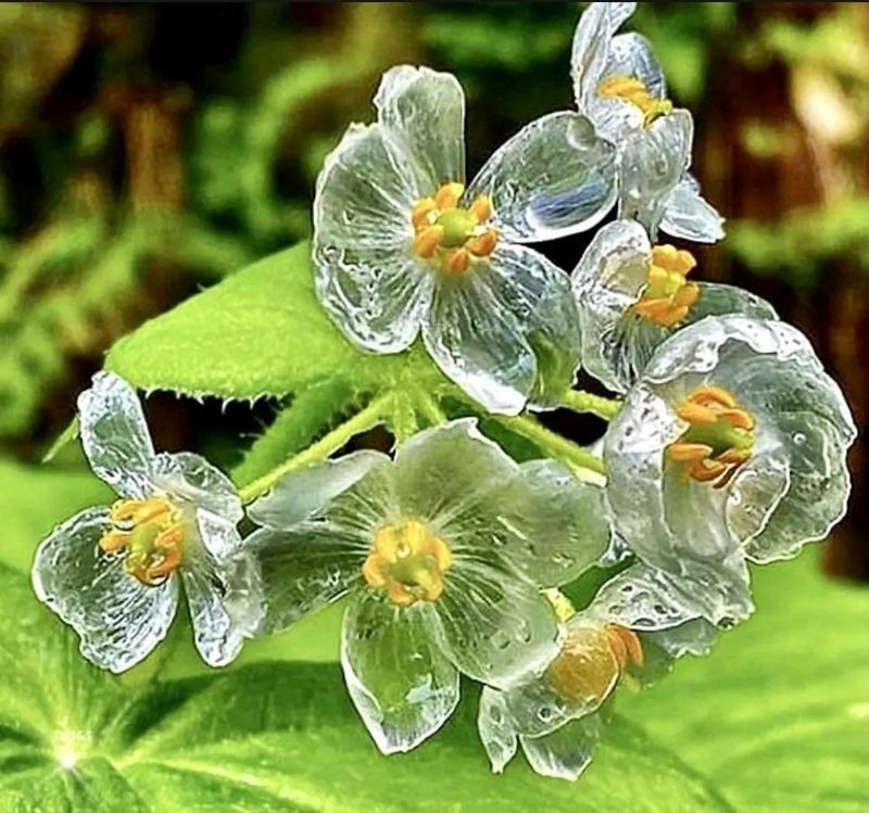 Seasonal Beauty