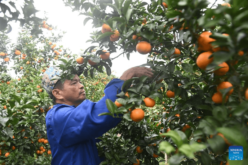 Harvesting Techniques