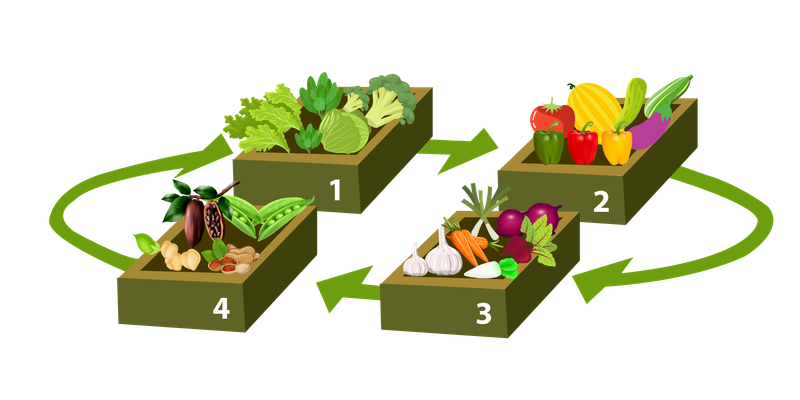 Seasonal Crop Rotation
