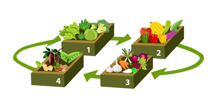 Seasonal Crop Rotation