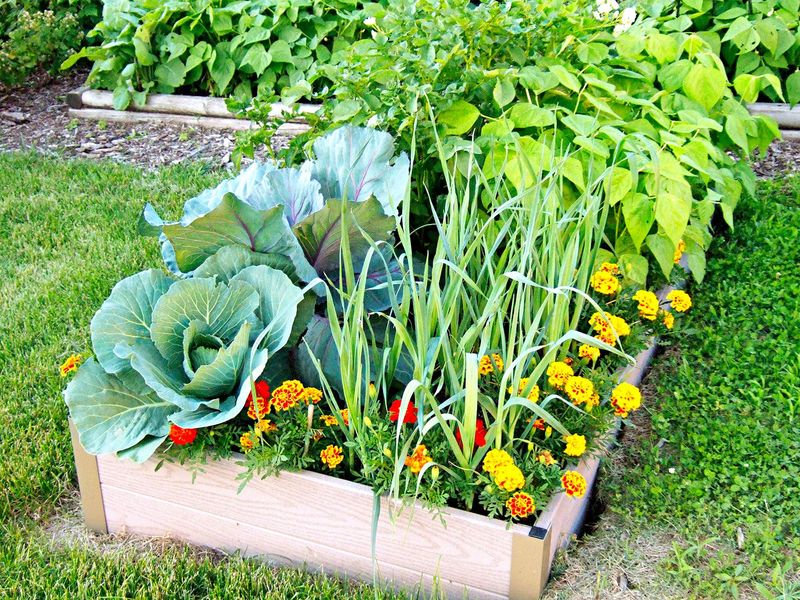Seasonal Planting