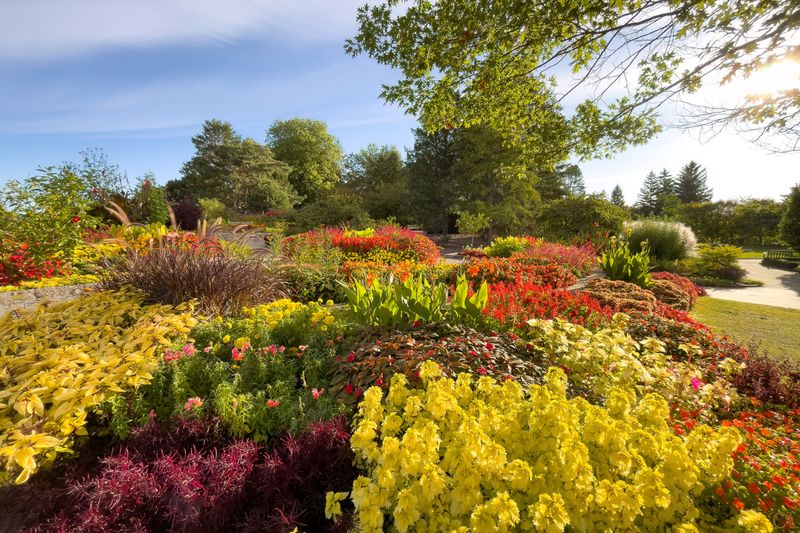 Seasonal Planting: Embrace the Cycle