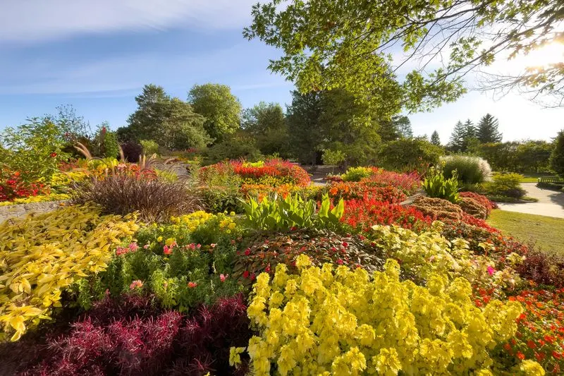 Seasonal Planting: Embrace the Cycle
