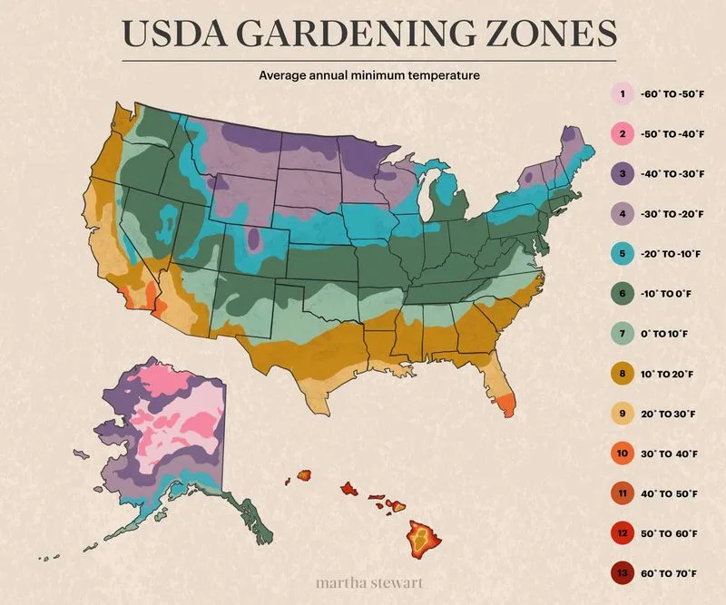Plant Hardiness Zones