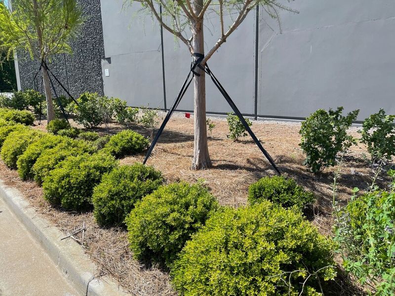 Flexible Garden Stakes