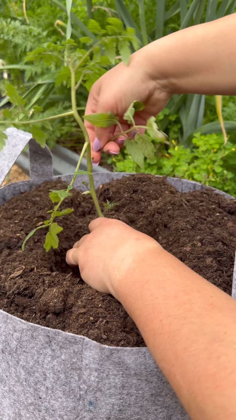 Select the Best Soil Mix