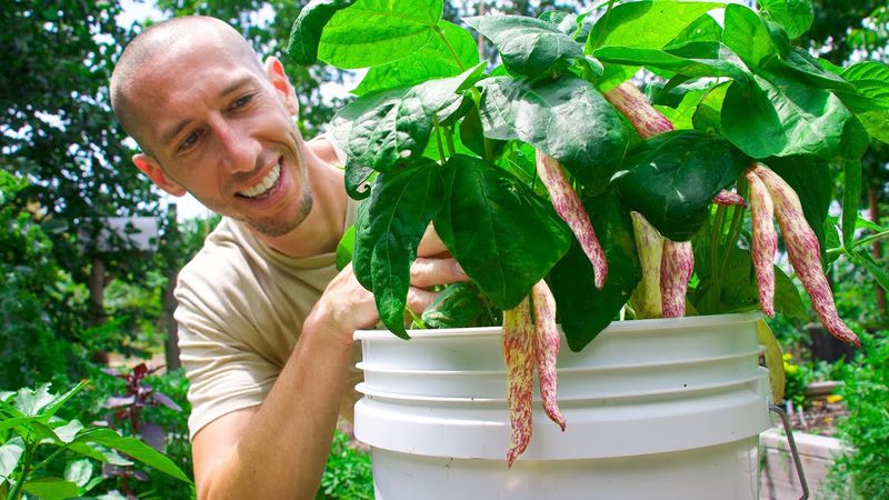 Select the Perfect Bean Variety