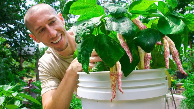 Select the Perfect Bean Variety