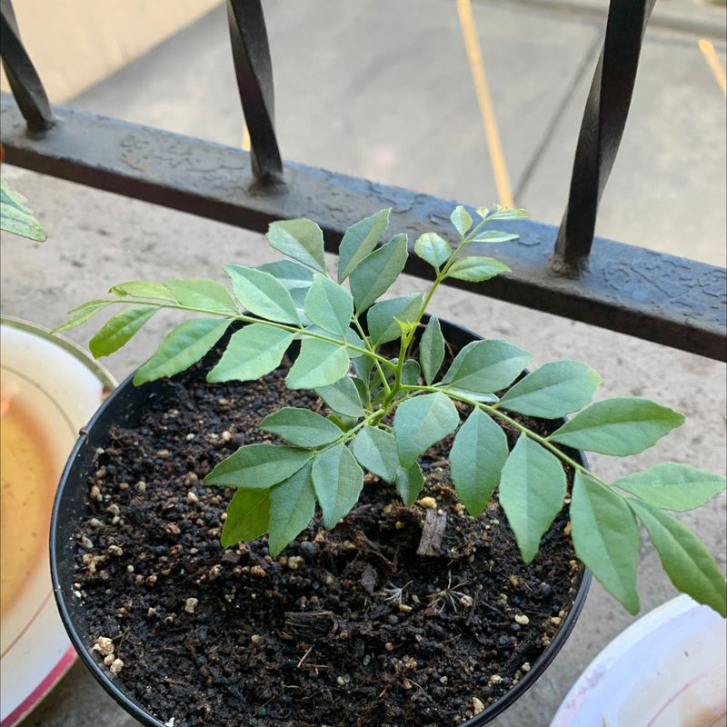 Understanding Propagation Methods