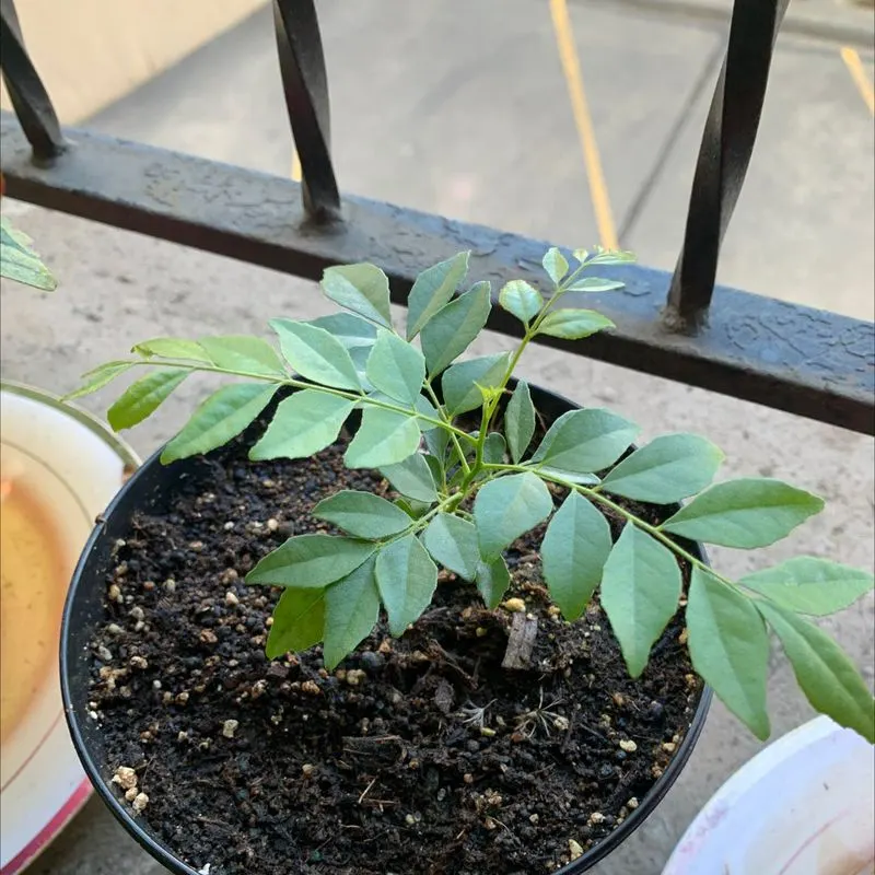 Understanding Propagation Methods
