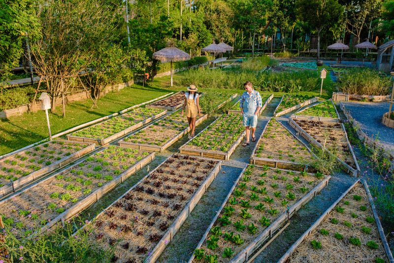 Self-Sufficiency Practices