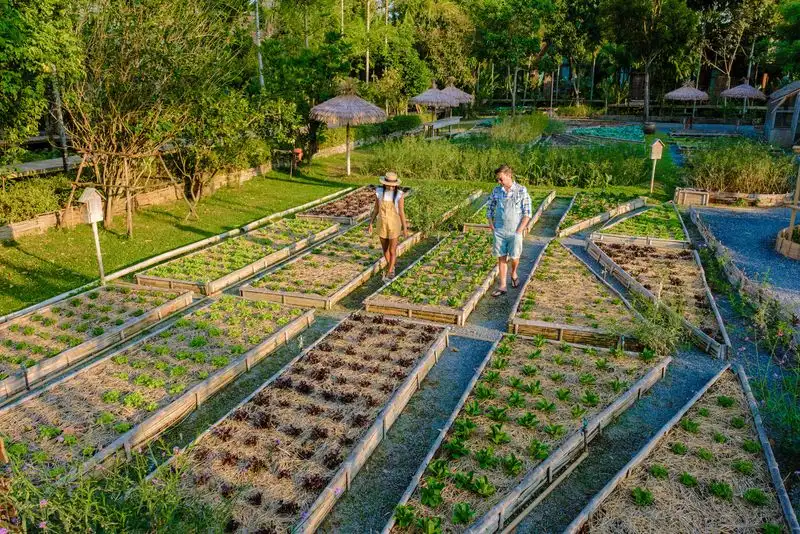 Self-Sufficiency Practices