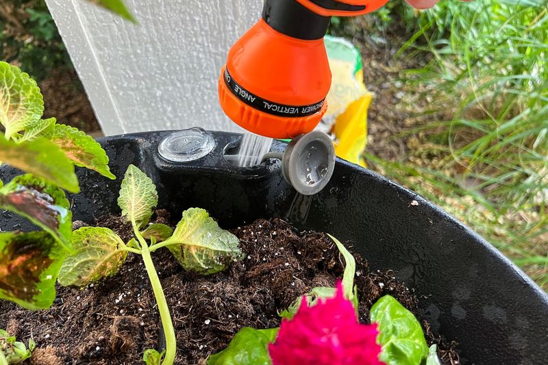 Self-Watering Planters