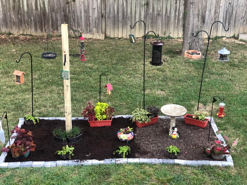 Setting Up Bird Feeders