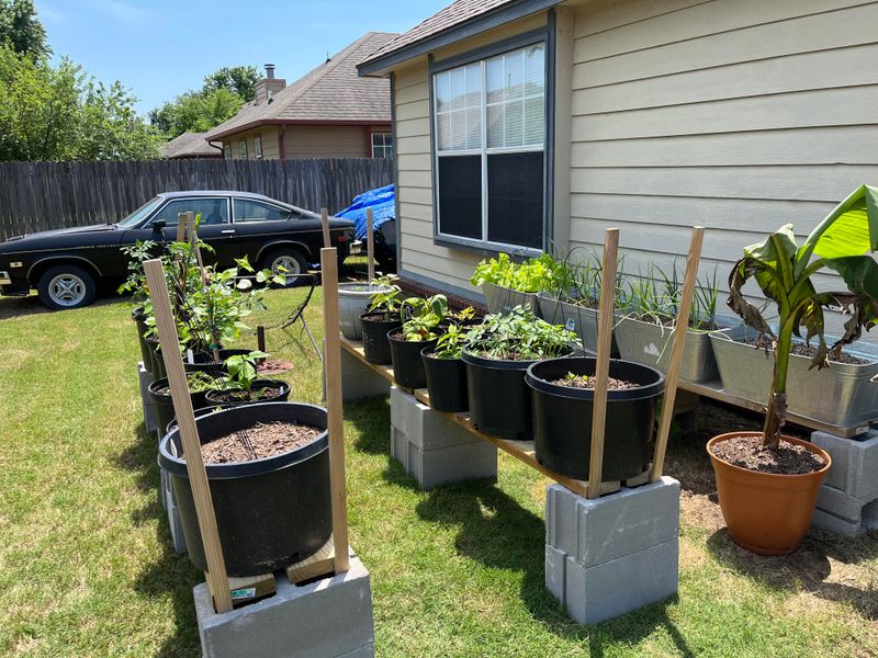 Container Garden
