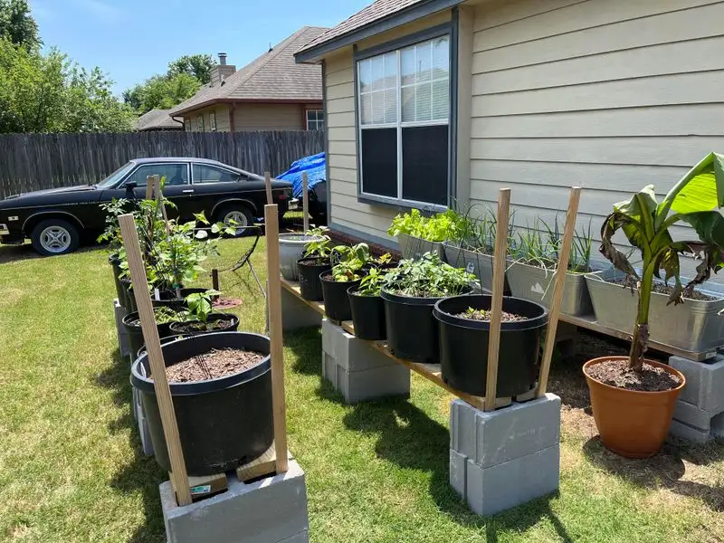 Container Garden
