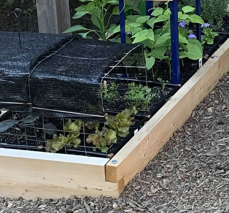 Shade Solutions