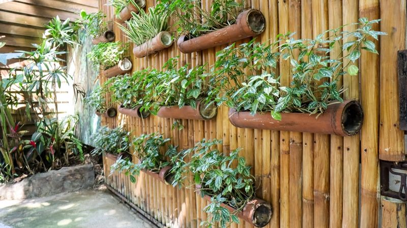 Vertical Gardening
