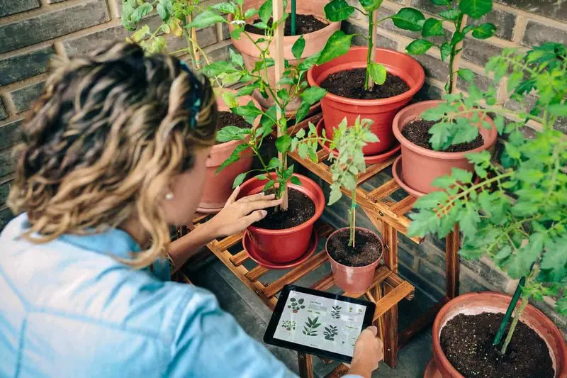 Skipping Fertilizer