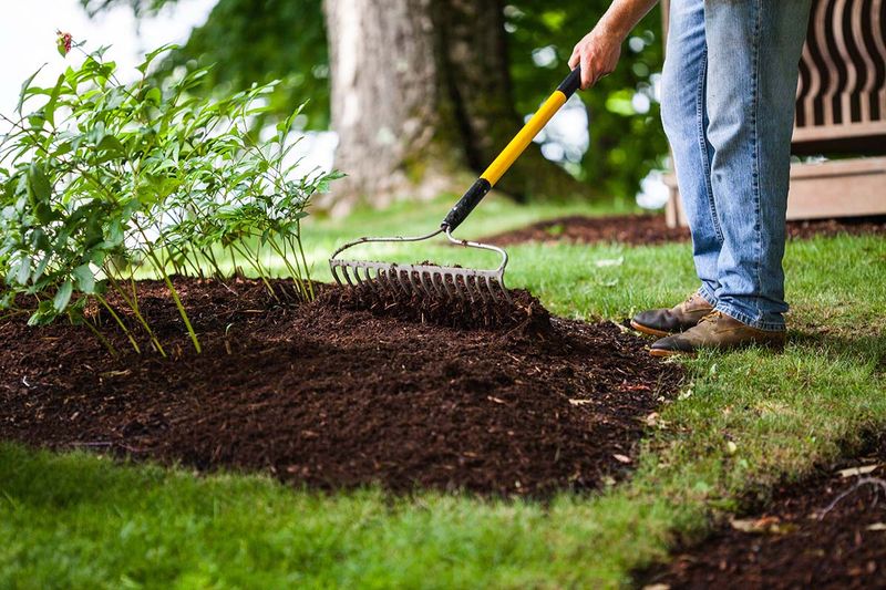 Mulching for Weed Control
