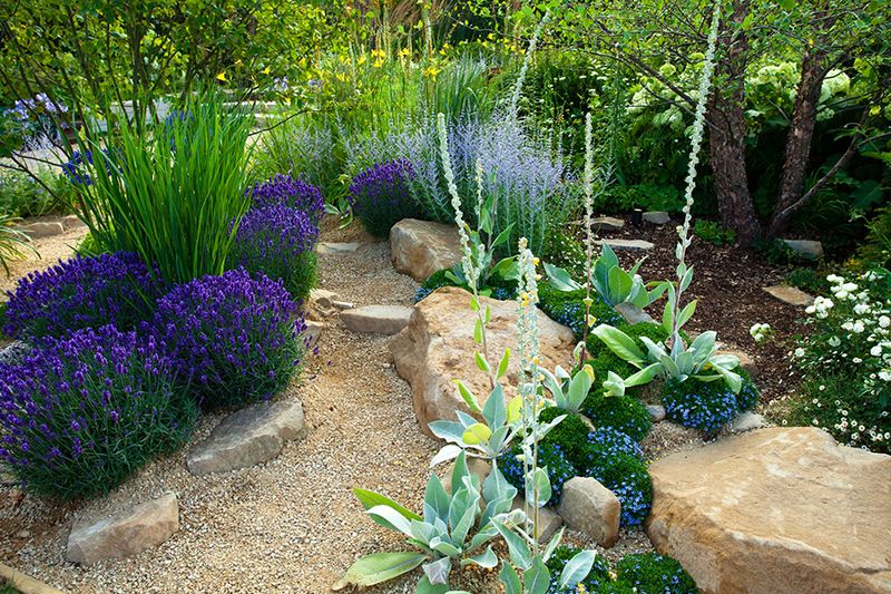Smart Plant Selection