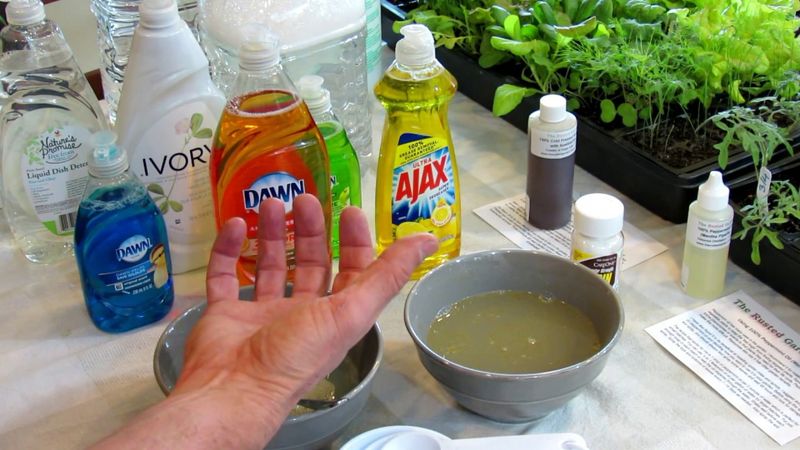 Soap and Water Solution