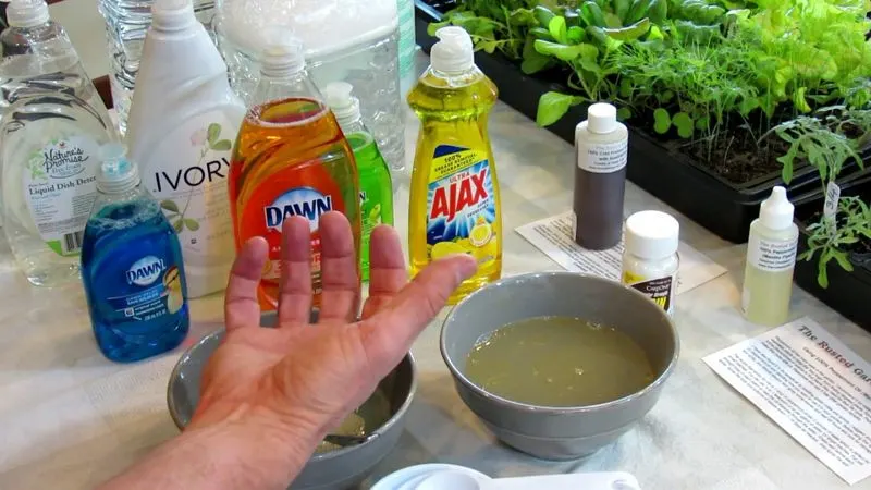 Soap and Water Solution