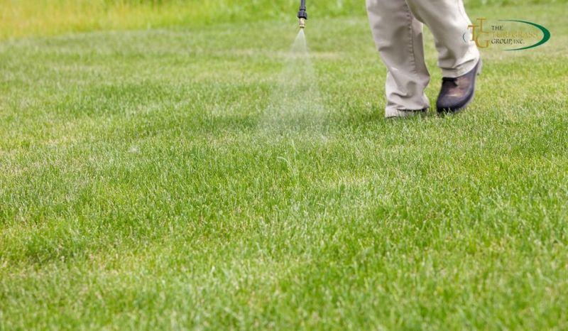 Maintaining Lawn Health