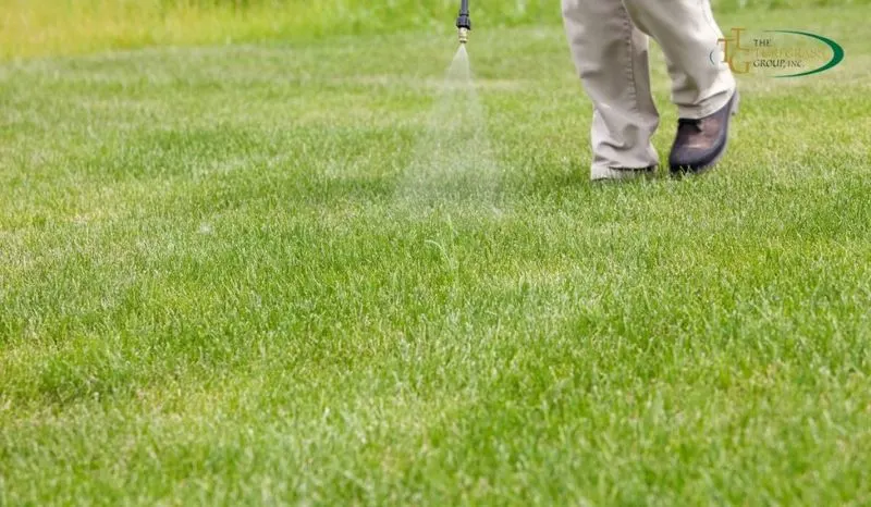 Maintaining Lawn Health