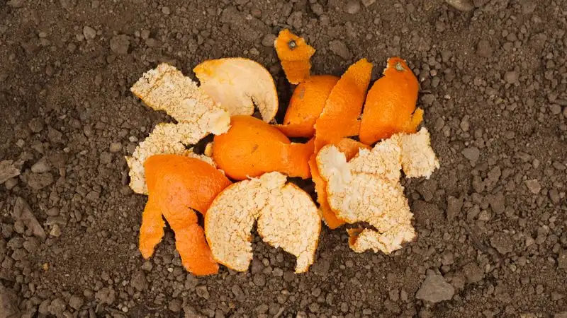 Soil Aroma Enhancer