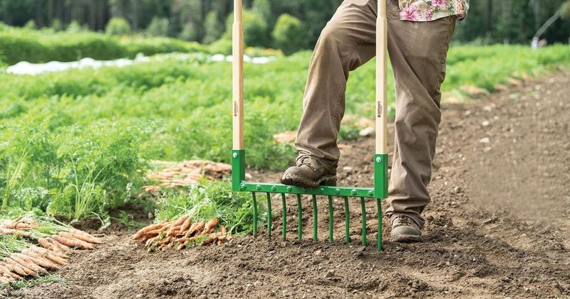 Soil Compaction