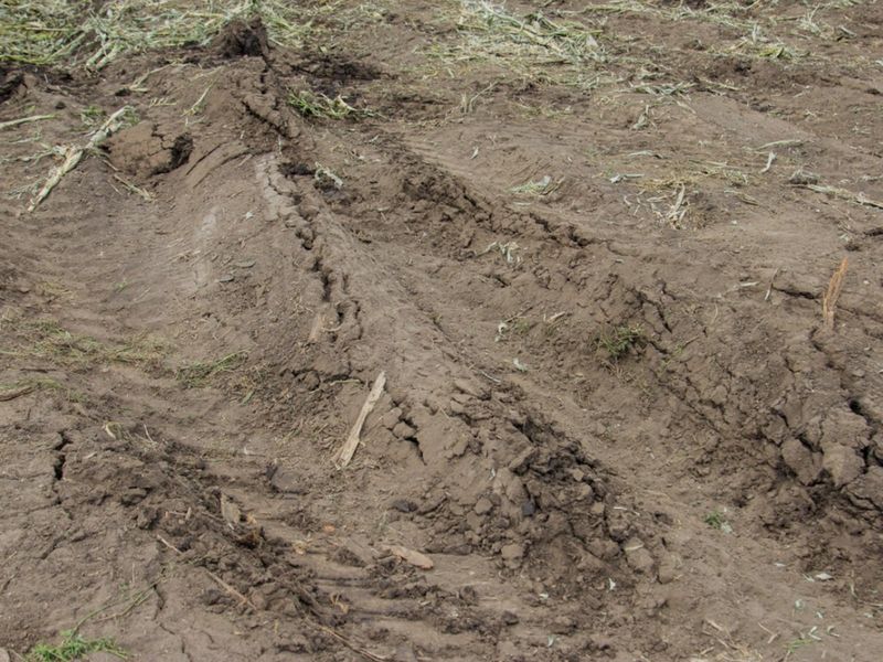 Soil Compaction