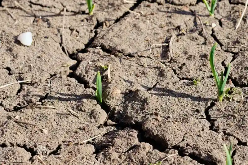 Soil Degradation