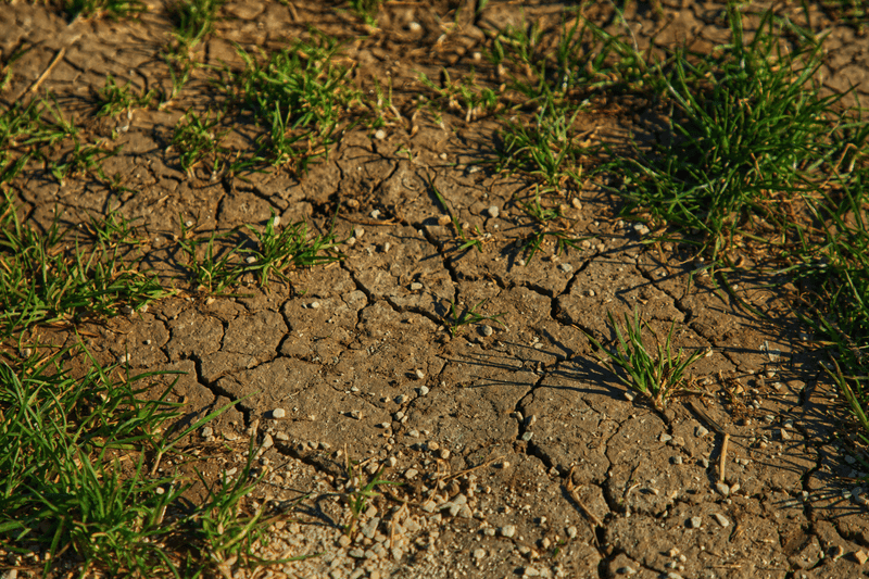 Soil Degradation