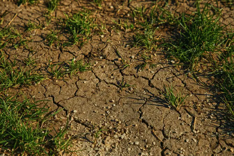 Soil Degradation