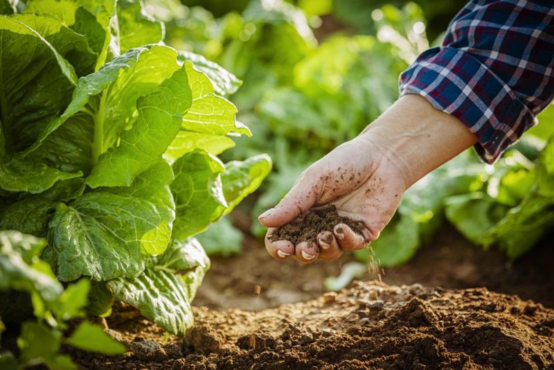 Soil Enrichment Strategies
